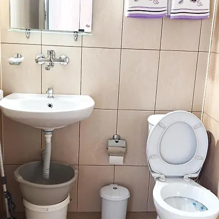 ,,лозница гт